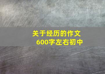 关于经历的作文600字左右初中