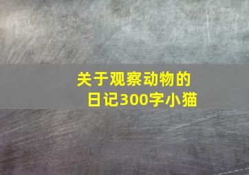 关于观察动物的日记300字小猫