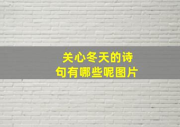 关心冬天的诗句有哪些呢图片