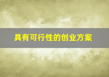 具有可行性的创业方案