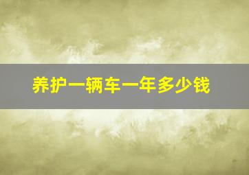 养护一辆车一年多少钱