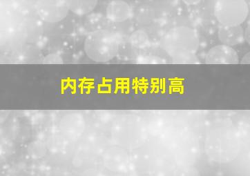 内存占用特别高