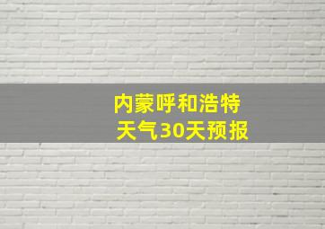 内蒙呼和浩特天气30天预报