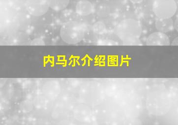 内马尔介绍图片