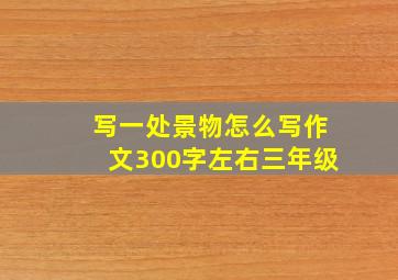 写一处景物怎么写作文300字左右三年级