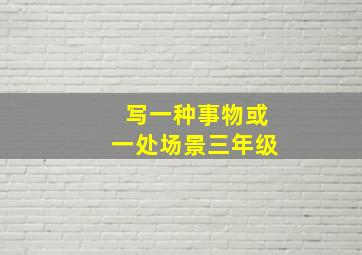 写一种事物或一处场景三年级