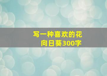 写一种喜欢的花向日葵300字