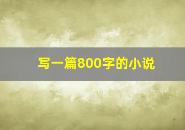 写一篇800字的小说