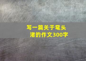 写一篇关于鼋头渚的作文300字