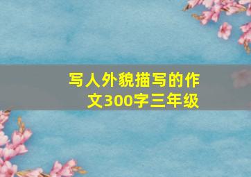 写人外貌描写的作文300字三年级