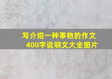 写介绍一种事物的作文400字说明文大全图片