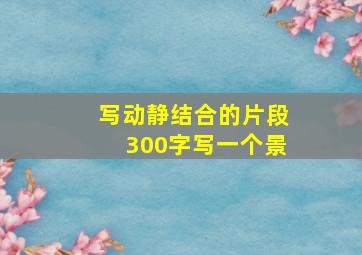 写动静结合的片段300字写一个景