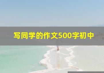 写同学的作文500字初中