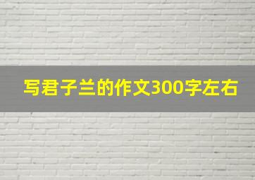 写君子兰的作文300字左右