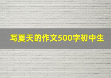 写夏天的作文500字初中生