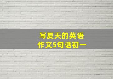 写夏天的英语作文5句话初一