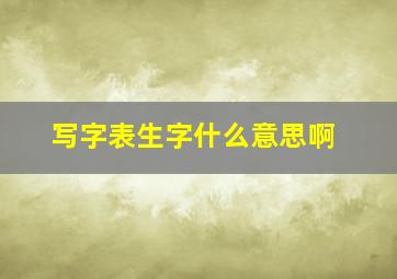 写字表生字什么意思啊