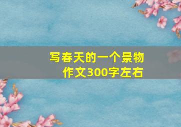 写春天的一个景物作文300字左右