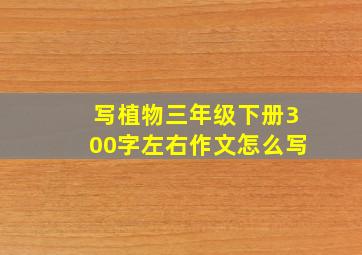 写植物三年级下册300字左右作文怎么写