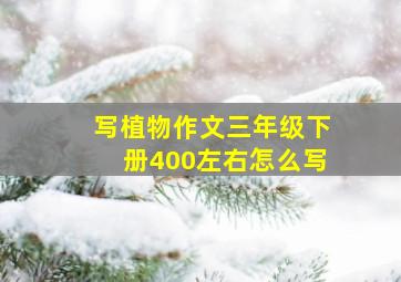 写植物作文三年级下册400左右怎么写