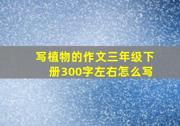 写植物的作文三年级下册300字左右怎么写