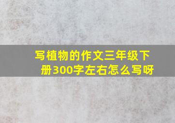 写植物的作文三年级下册300字左右怎么写呀