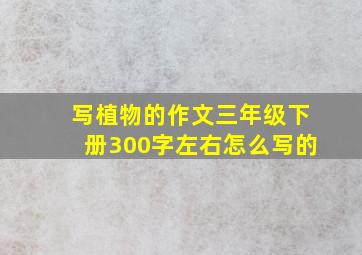 写植物的作文三年级下册300字左右怎么写的