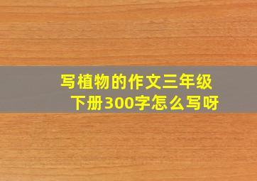 写植物的作文三年级下册300字怎么写呀