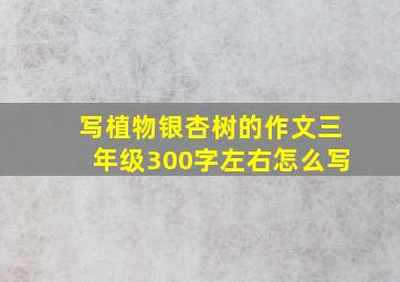 写植物银杏树的作文三年级300字左右怎么写