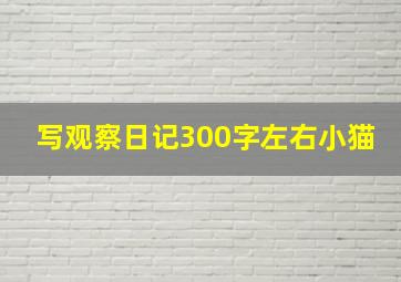 写观察日记300字左右小猫