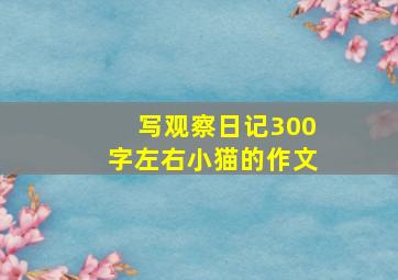 写观察日记300字左右小猫的作文