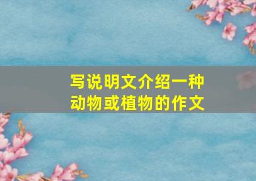 写说明文介绍一种动物或植物的作文