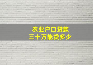 农业户口贷款三十万能贷多少