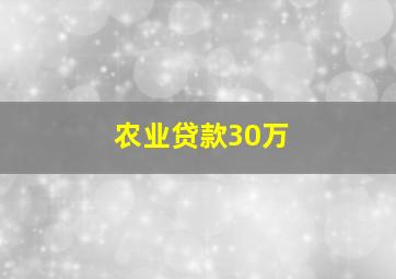 农业贷款30万