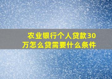 农业银行个人贷款30万怎么贷需要什么条件