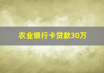 农业银行卡贷款30万