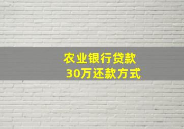 农业银行贷款30万还款方式