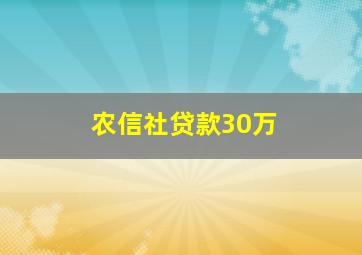 农信社贷款30万