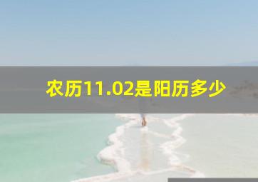 农历11.02是阳历多少