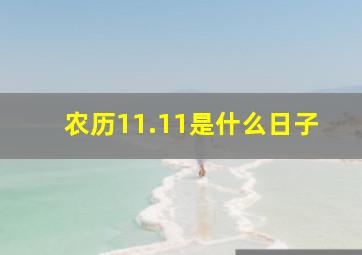 农历11.11是什么日子