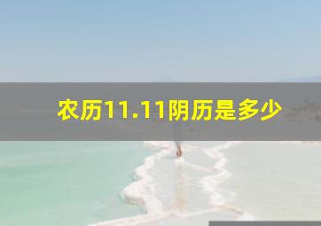 农历11.11阴历是多少