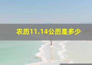 农历11.14公历是多少