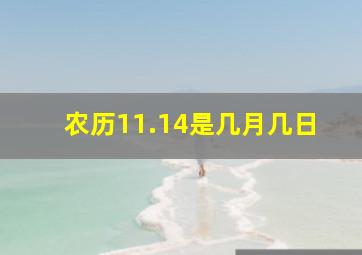 农历11.14是几月几日