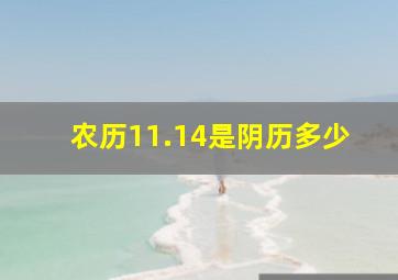 农历11.14是阴历多少