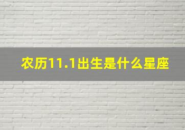 农历11.1出生是什么星座