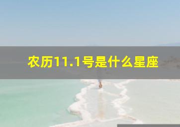 农历11.1号是什么星座