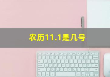 农历11.1是几号