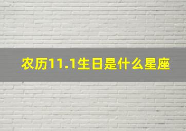 农历11.1生日是什么星座