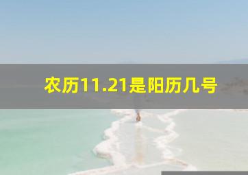 农历11.21是阳历几号