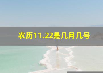 农历11.22是几月几号